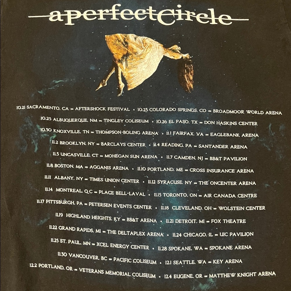 A Perfect Circle Graphic T-Shirt - Picture 4 of 6